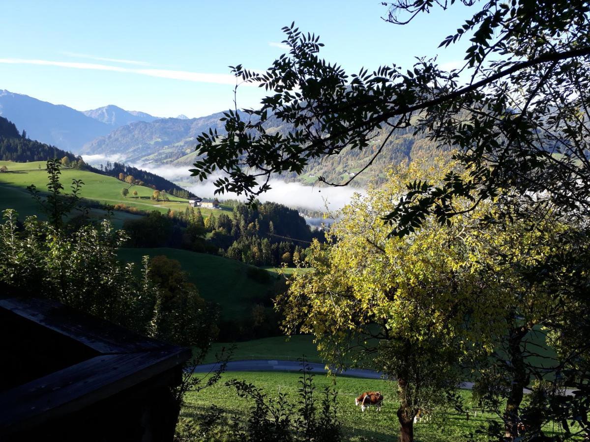 Landhaus Katharina Bischofshofen Luaran gambar